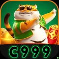 c999 Slot Machine Pro