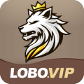 lobobet - Live Max